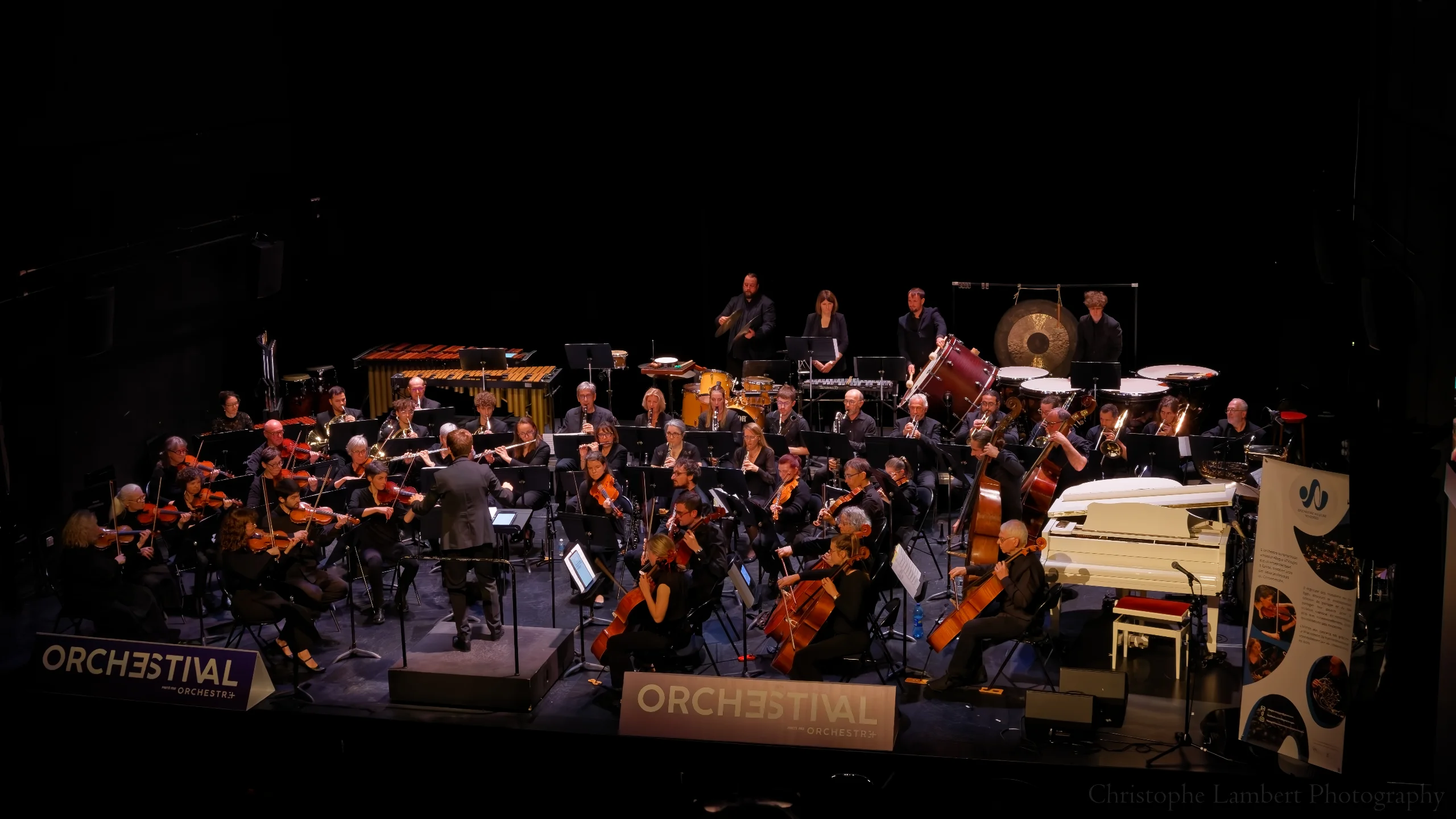 Vue globale de l'orchestre