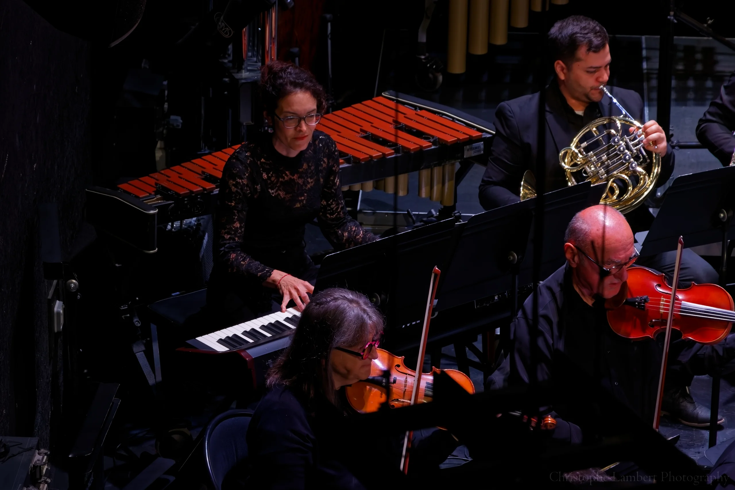2 violonistes, la piaiste et un corniste