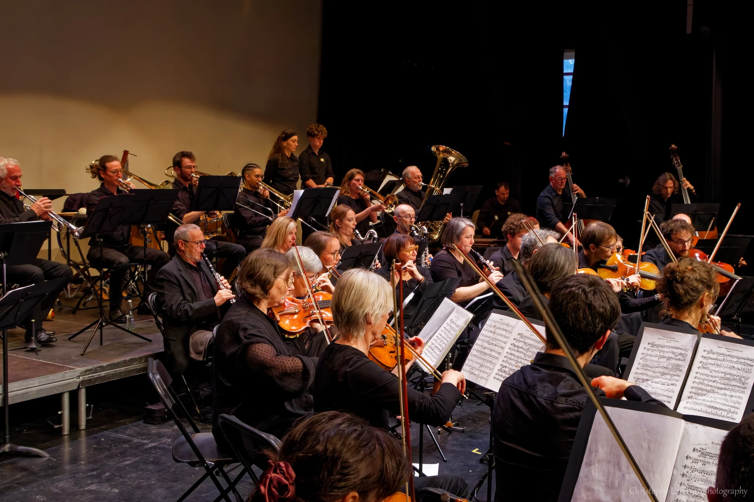 Orchestre, vue derrière les violons
