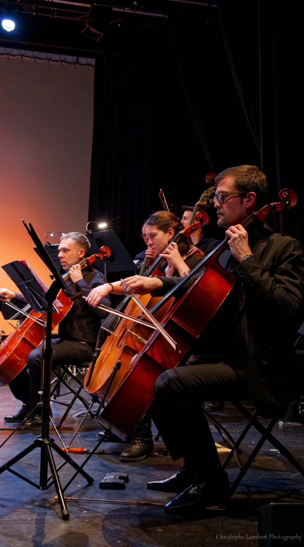 3 violoncellistes