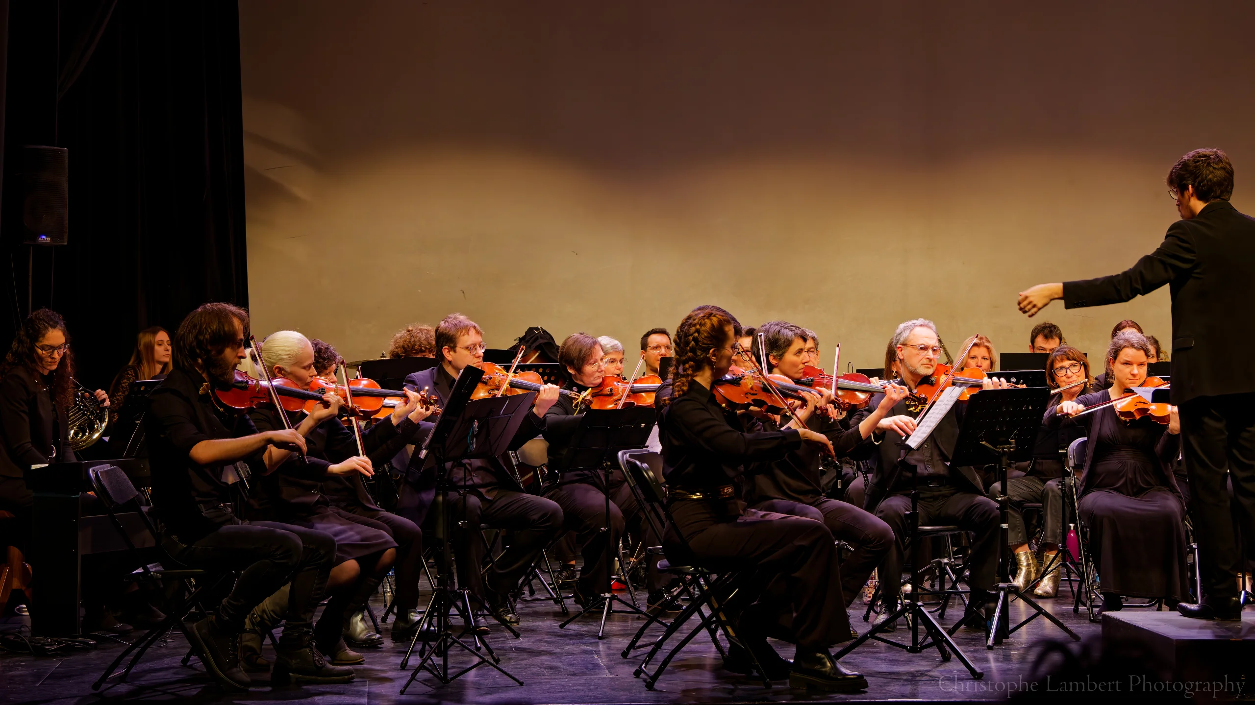 Vue sur le pupitre de violons
