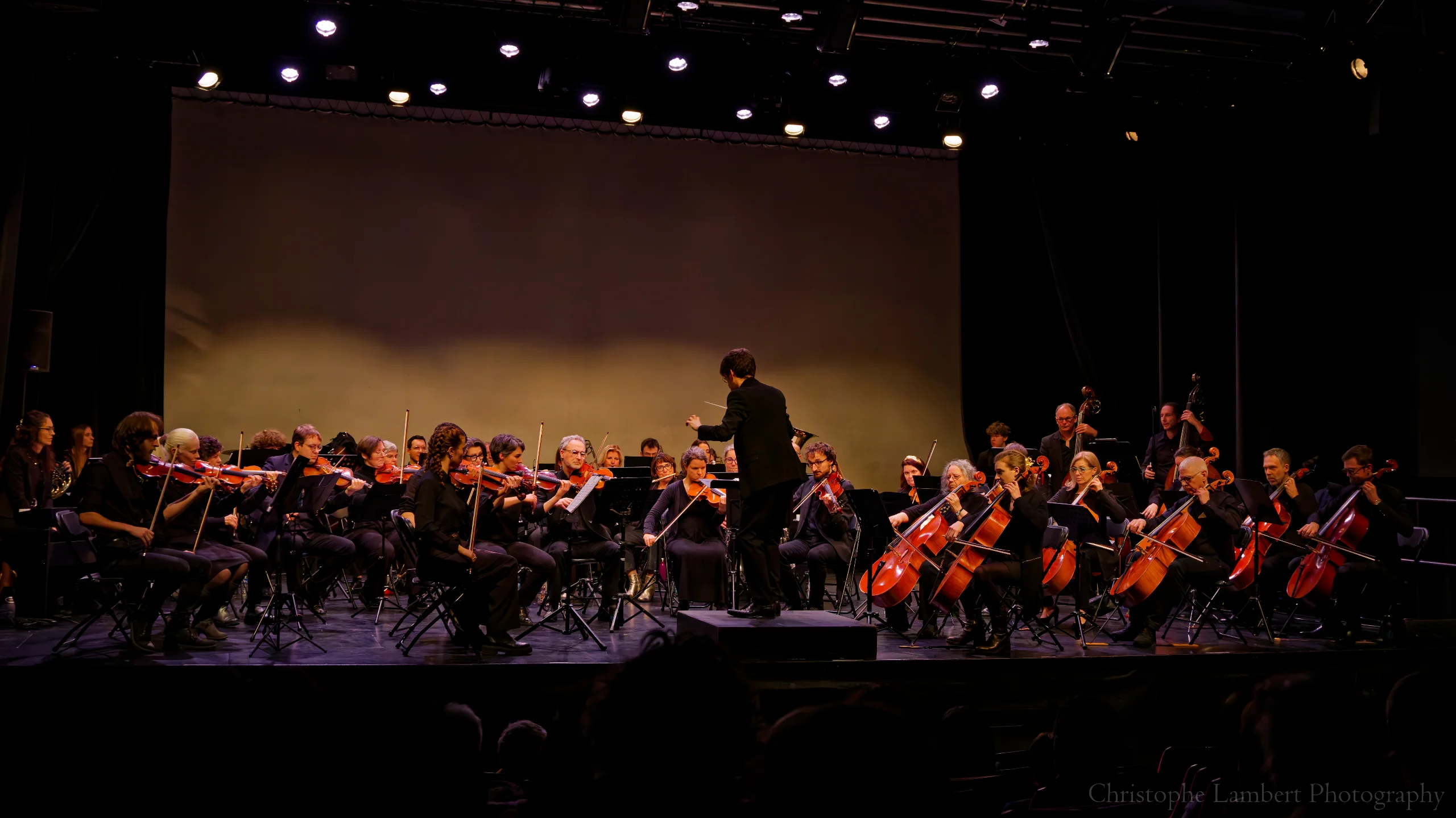 Vue globale de l'orchestre