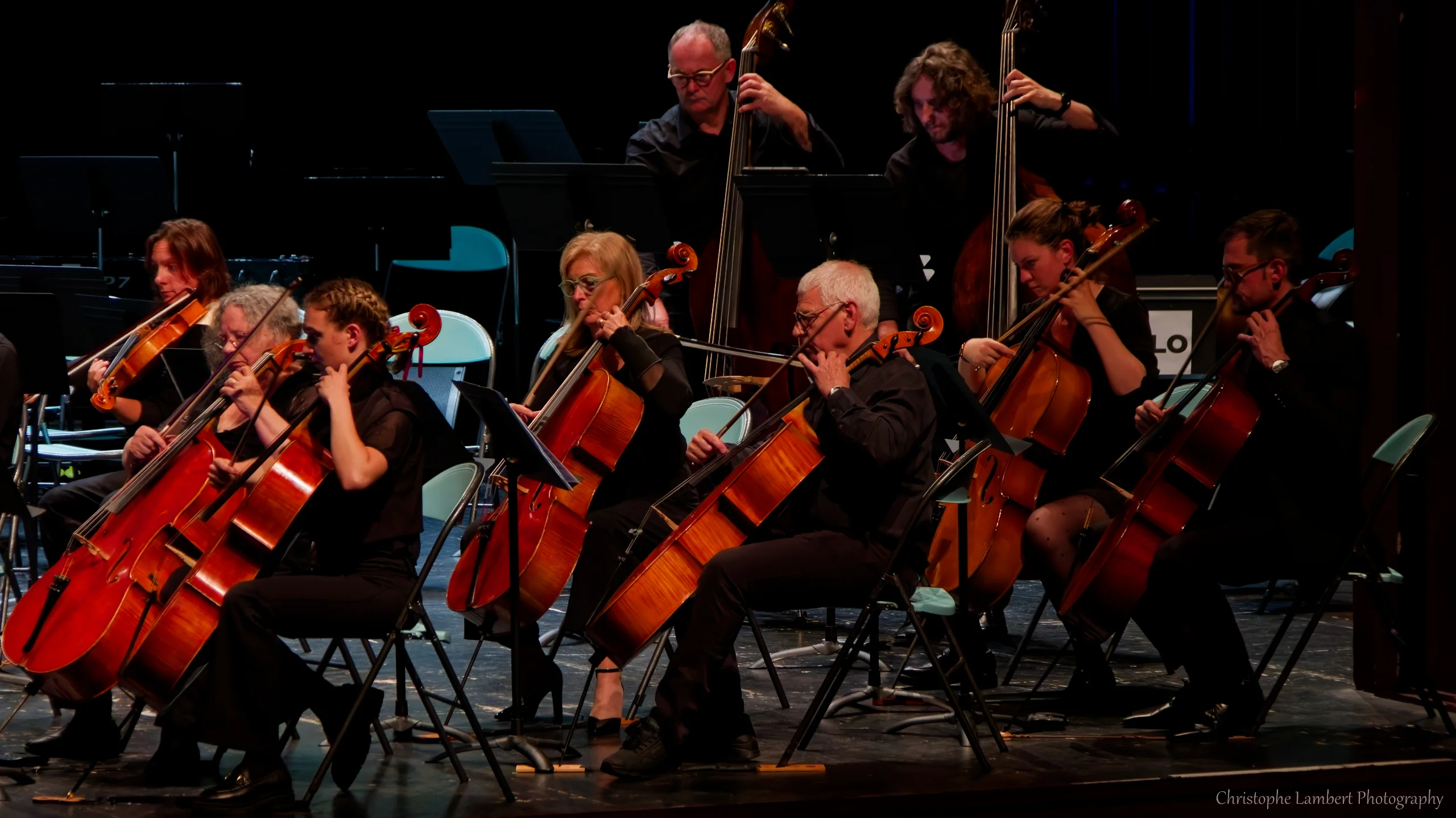 Violoncelles et contrebasses