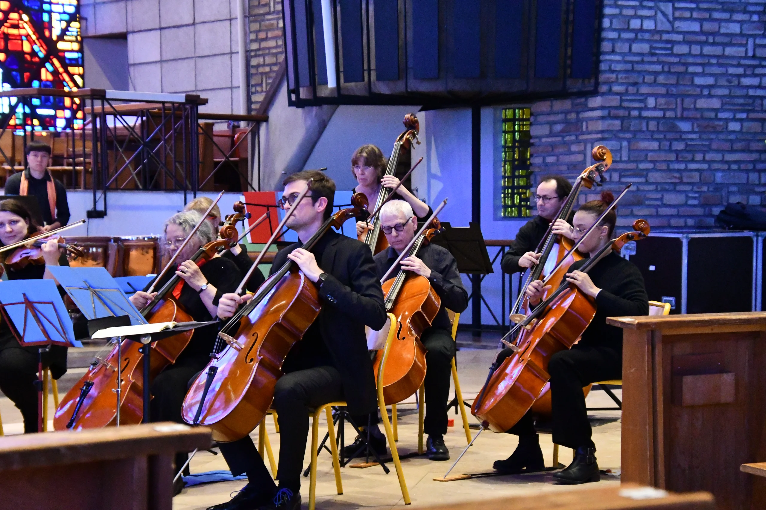 Violoncelles et contrebasses